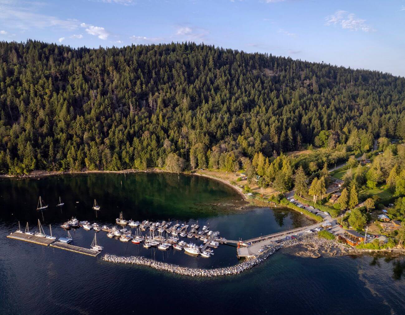 Photo of Hornby Island shoreline and forest, blue sky in the background