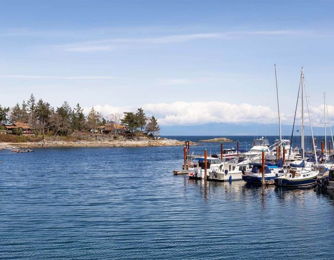 Photo of Nanoose Bay shoreline and housing, blue sky in the background