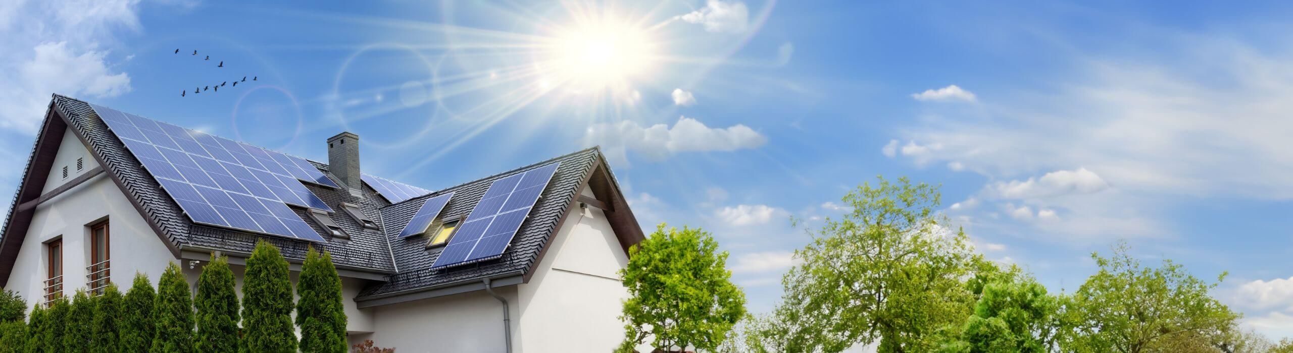 Energy efficient home with birds flying and blue skies