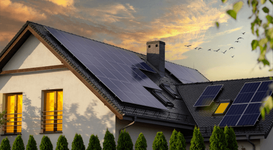 Sustainability image house with solar panels with blue sky and birds in the background